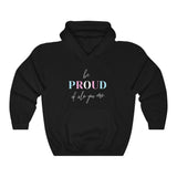 Load image into Gallery viewer, Be Proud Trans Hoodie - Hoodie - Black